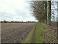 Footpath south of Liverpool St Helens Rugby Club, Windle