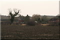 Houses near Redcap farm, Old Woodhall