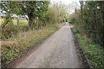SO8652 : Brockhill Lane, Norton by Philip Halling