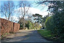 TQ7140 : Private lane off Grovehurst Lane by Robin Webster