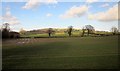 Farmland near Drimpton