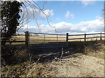 TM1176 : Field entrance off Mellis Road by Geographer