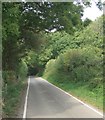 Moor Lane approaching area of woodland just north of Nottage