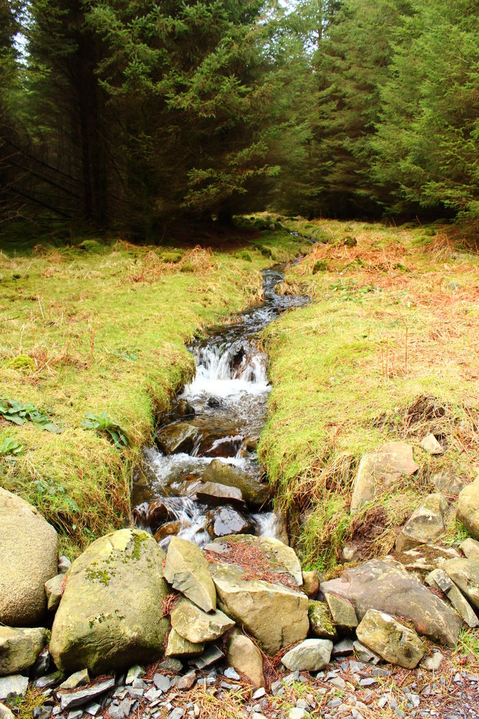 Babbling Brook in Knockman Wood © Billy McCrorie :: Geograph Britain ...