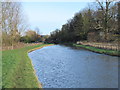 The New River west of Broadmead Pumping Station (2)