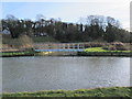 The confluence of Chadwell Spring and the New River