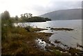 NS3598 : Loch Lomond by Rude Health 