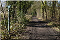 Byway going north from footpath junction