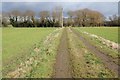 Footpath and track, Norton