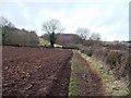 Footpath Approaching Stud Brook