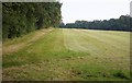 Field bordering Black Wood Forest