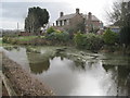 Coton Farm, and pond