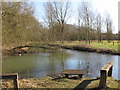 Brain & Blackwater (winter) Whet Mead Local Nature Reserve, Witham