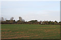 Arable land off Ulting Lane, Langford