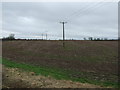 Farmland near the Chesterfield Canal