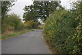 Lane west of Culpho