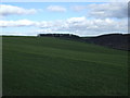 SE9961 : Wolds farmland, Ewe Dale by JThomas