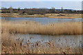 SE8833 : North Cave Wetland Reserve by Pauline E