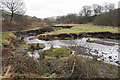 Meanderings of the River Colne