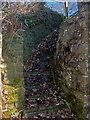 Steps to the side of New Bridge on the Little Dart River