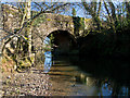 The downstream side of New Bridge on the Little Dart River