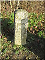 Milestone - Llandeilo 12