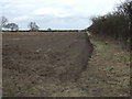 Field and hedgerow 