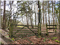 Footpath off Mill Lane, Ashurst Beacon Country Park