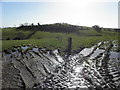 H7161 : Muddy ground, Cabragh by Kenneth  Allen