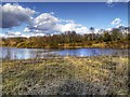 Prince Albert Fishing Lake (Rossmere)