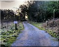 Track to Saltersley Hall Farm