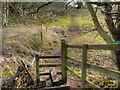 Footpath towards Saltersley Moss