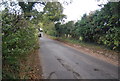 Lane to Playford Corner