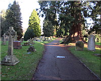 SO5339 : Churchyard path, Tupsley, Hereford by Jaggery