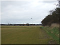 Farmland and hedgerow