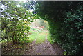 Footpath to Playford