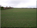 Crop field near Epworth