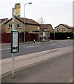 Two bus stops but only one bus shelter, Danescourt Way, Cardiff