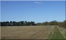 SO9053 : Farmland near Spetchley by JThomas