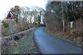 Road at Luckie Hargs Brae