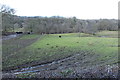 Farmland near Killiegowan