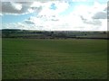 Fields near Askew Hill