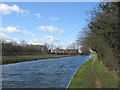 Chesterfield Canal east of Kilton Lock