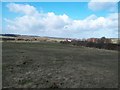 Fields near Broomy Furlong