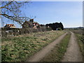 Houses and drive, Ewerby Thorpe