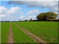 Farmland, Grafton