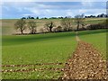 SU3876 : Farmland, Great Shefford by Andrew Smith