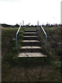 TM0477 : Steps to Redgrave Cricket Ground by Geographer