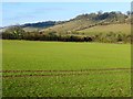 Farmland, Piddington