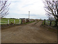 NZ2116 : Farm road and "Swiss rolls" at Carlbury by Oliver Dixon